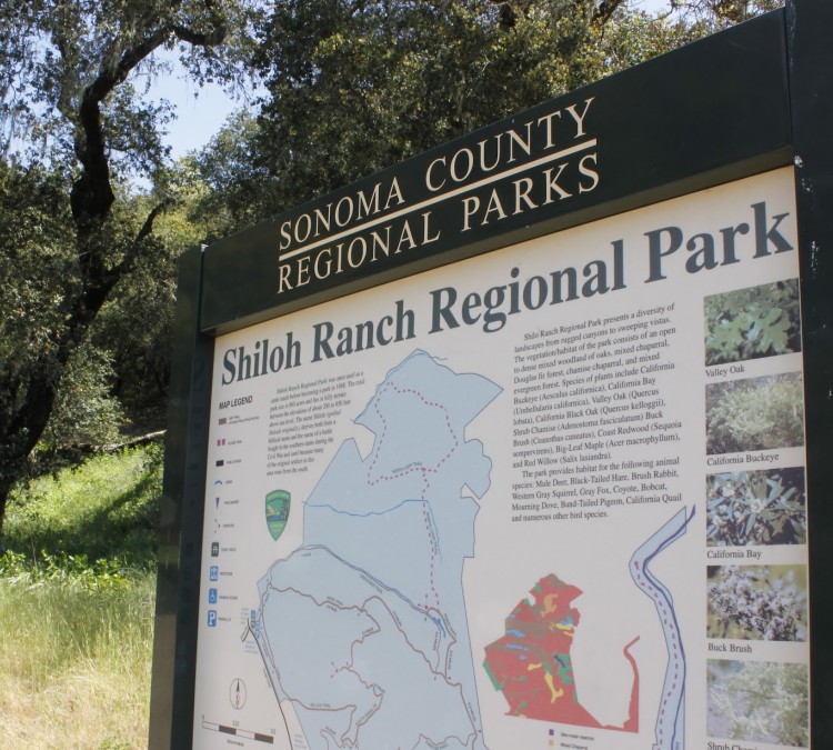 Shiloh Ranch Regional Park (Windsor,&nbspCA)